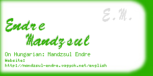 endre mandzsul business card